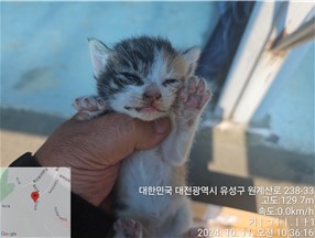 코숏 이미지 파일 입니다.
